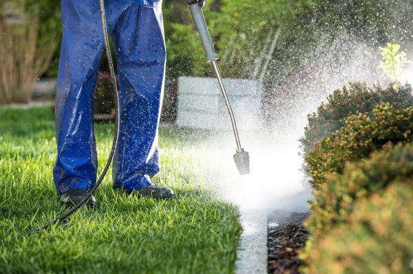 Curb Cleaning in Battle Ground