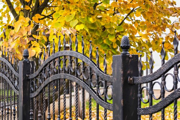 Wrought Iron Fence Washing in Battle Ground