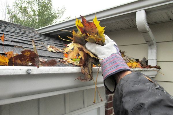 Eaves Cleaning in Battle Ground