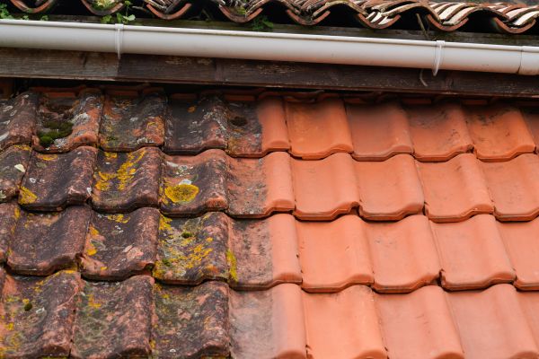 Industrial Roof Cleaning in Battle Ground