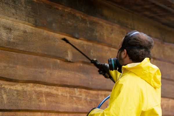 Cedar Siding Washing in Battle Ground